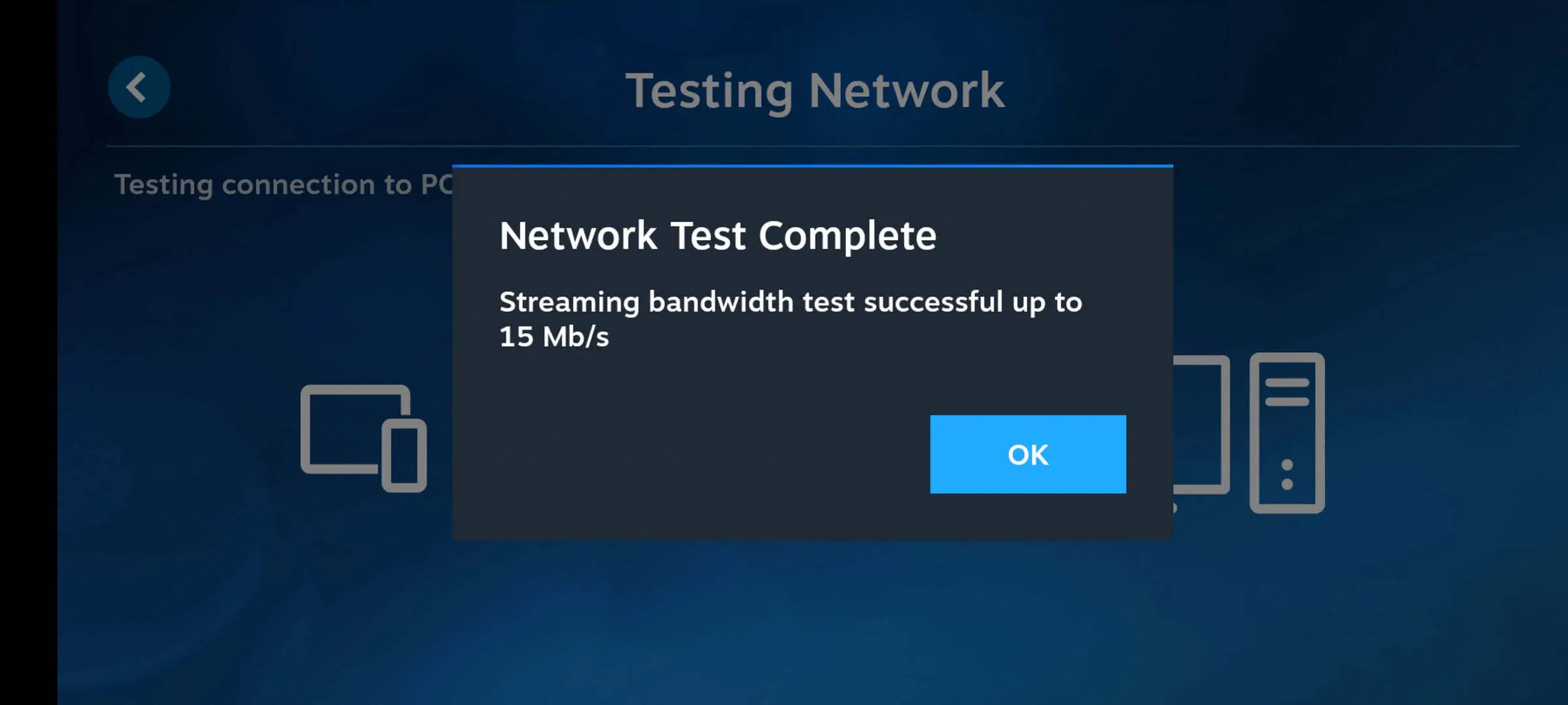 Wait network connection test to finish